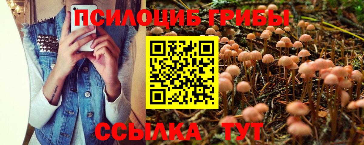Псилоцибиновые грибы GOLDEN TEACHER Полевской