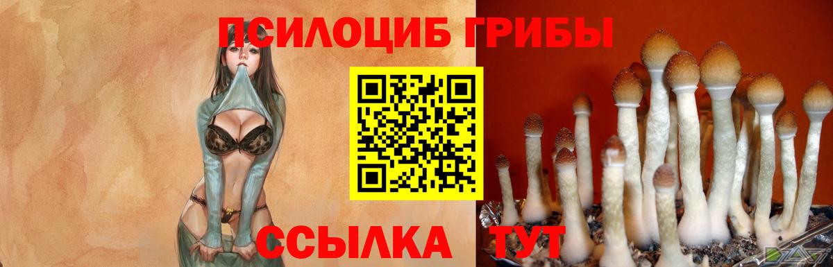 Полевской  Псилоцибиновые грибы ЛСД  Галлюциногенные грибы прущие грибы  Вход с VPN 
